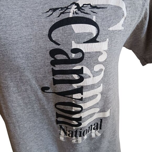 Vintage 1990s Mens Tee Large GRAND CANYON CRACKLE FADE T-shirt MEDIUM MENS M USA - Picture 2 of 4